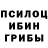 Галлюциногенные грибы мицелий Rustambek Abdullaev