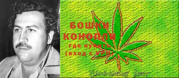 стафф Каменка