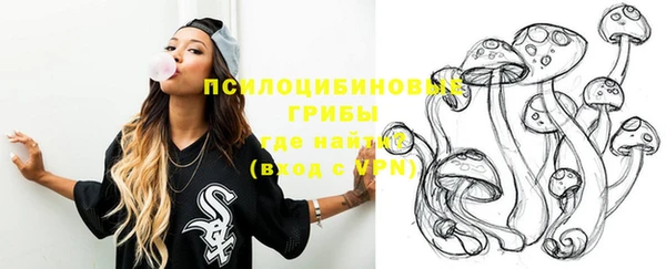 стафф Каменка