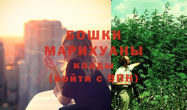 стафф Каменка