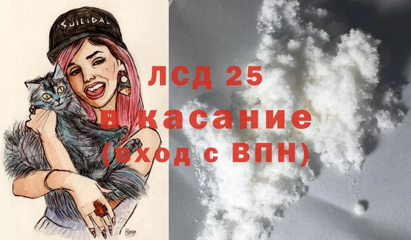 стафф Каменка