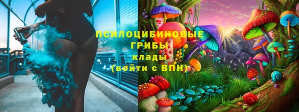 стафф Каменка